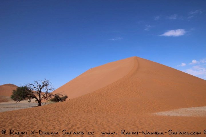 Düne 45 bei Sossusvlei - Namibia