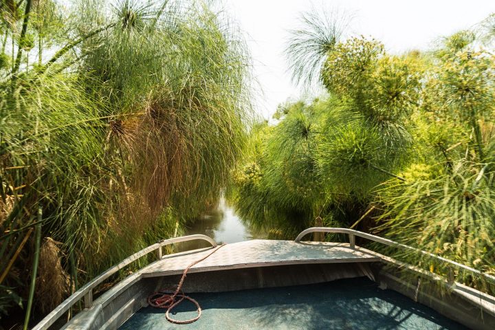 Bootsfahrt im Okavango Delta - Botswana