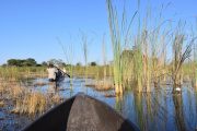 Bootsfahrt im Okavango Delta - Botswana