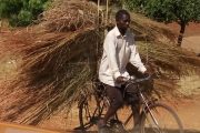 Malawi- alles wird mit dem Fahrrad transportiert